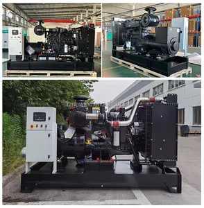 Groupe electrogene 250kva con motor Cummins 200kw generador diésel silencioso insonorizado para uso principal con alternador Stamford