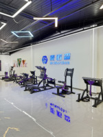 Equipo de Fitness Versátil OEM para Entrenamiento de Cuerpo Completo, Máquina de Poleas con Selección de Carga, Equipo Deportivo