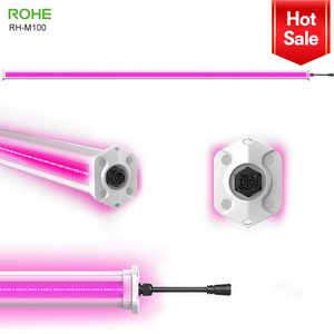 Rohe ไฟปลูกพืช100W 3.2 umol/<span class=keywords><strong>j</strong></span> ประสิทธิภาพสูงหรี่แสงได้ฟูลสเปกตรัมระหว่างพืชอลูมิเนียม640W สีแดงสีขาว - Product Image 2