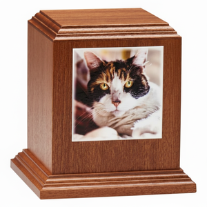 Boîte d'urne en bois de vente chaude pour les cendres d'animal familier Urnes de crémation en bois pour les cendres de chat et de chien Urnes en palissandre à bas prix - Product Image 1