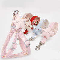 Ensemble laisse et harnais pour animaux de compagnie 3D Star, léger, réglable, anti-évasion, accessoires de promenade en plein air pour petits chiens, chiots, chats