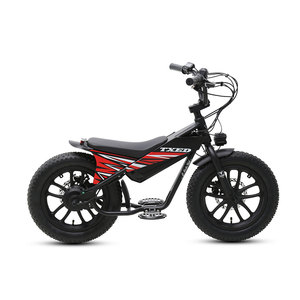 TXED Modern Kids Electric Motorbike 16 Inch Pneumatic Tires Durable Battery Efficient Braking System Stylish Youth Cycle - Product Image 2