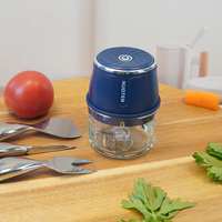 Hachoir à ail électrique mini de 250 ml en PP + verre, avec 6 lames, hachoir portable pour légumes, oignons et aliments pour bébés