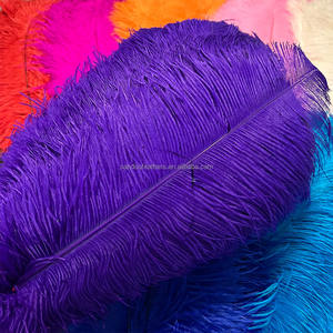 Vente en gros de <span class=keywords><strong>plumes</strong></span> <span class=keywords><strong>d</strong></span>'<span class=keywords><strong>autruche</strong></span> multicolores de 22 à 24 pouces 55 à <span class=keywords><strong>60</strong></span> <span class=keywords><strong>cm</strong></span> pour costumes de carnaval, <span class=keywords><strong>d</strong></span>écoration de fête de mariage, Plumas - Product Image 5