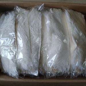 Plumes d'autruche naturelles brutes en gros, blanches, 14-16'' (35-40 cm), pour centre de table de mariage, costumes de carnaval, vêtements - Product Image 6