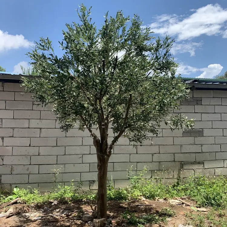 Искусственное оливковое дерево, искусственные большие оливковые деревья для дома