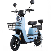 Vélo électrique Paige, scooter, vélo cargo pas cher, vélo électrique tout-terrain à vendre, vélo électrique tout-terrain, batterie de vélo électrique, vélo électrique pour adultes
