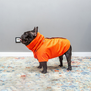 Qiqu Pet Supplies Personnalisé Nouveau Designer Bouledogues Français Imperméables Imperméables Chien Printemps Automne Manteau Frenchies Veste <span class=keywords><strong>Carlin</strong></span> Chien Vêtements - Product Image 5