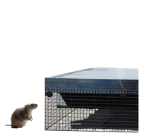 Filet anti-oiseaux durable en acier inoxydable, protection des panneaux solaires, installations sur toiture et systèmes d'ingénierie de lutte contre les oiseaux
