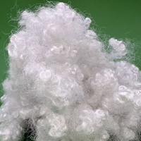 HCS Recycled Polyester Staple Fiber 7D*64 Hollow Conjugated PSF for Home Textile Stuffing