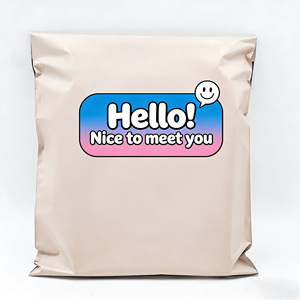 맞춤형 로고 패턴 인쇄 핑크 메일백 스타일 특급 소포 발송 서비스 의류 포장 물류 메일백 - Product Image 6