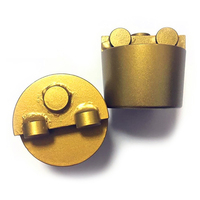 2 PCD+1S Outil de meulage de béton à pointe solide pour machine à meuler les sols