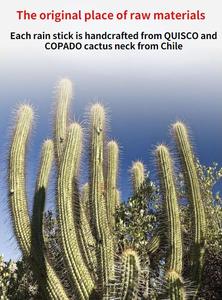Chile Cactus Wave Healing Instrument Rain Stick madera rainstick Rain Sticks Rainstick Niño Instrumentos musicales - Product Image 4