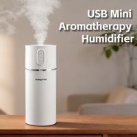 Mini humidificateur d'air portable, diffuseur d'arômes, petit diffuseur d'huiles essentielles, diffuseur de parfum pour la maison ou la voiture