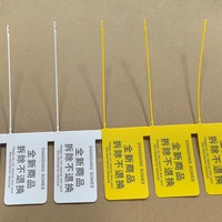 Étiquettes personnalisées vierges avec logo, attaches zippées, étiquettes de sécurité en plastique, étiquettes de marque pour vêtements et chaussures, étiquettes volantes