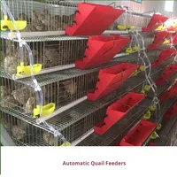 Mangeoire automatique anti-gaspillage pour cailles et pigeons |   Mangeoire en PP de qualité alimentaire à fixation sur cage pour l'élevage avicole multi-niveaux