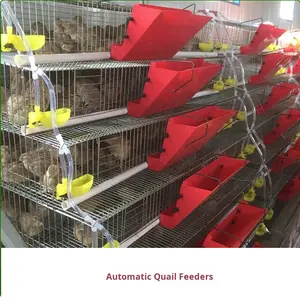 Mangeoire automatique anti-gaspillage pour cailles et pigeons |   Mangeoire <span class=keywords><strong>en</strong></span> PP <span class=keywords><strong>de</strong></span> qualité alimentaire à fixation sur cage pour l'élevage avicole multi-niveaux - Product Image 1