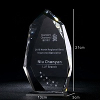 Trophée personnalisé en verre cristal gravé, impression numérique, souvenirs sportifs écologiques, plaque de récompense pour médaille sur mesure