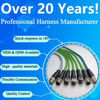 Conector M12 Personalizado, Enchufe GX12 de 4, 5 y 8 Pines, Arnés Macho y Hembra, Cable Ethernet, Ensamblaje de Cable con Clasificación IP67, Cobre, PVC, Electrónico