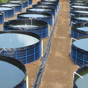 Geomanbraan Hdpe Aquarium Anti-Kwel Membraan Veel Gebruikt In Visvijver Water Conservancy Project Bouw Vocht-Proo - Product Image 1