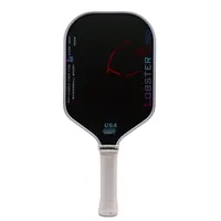 Raquette de pickleball MST USAPA Approved Pro Performance, épaisseur 16 mm, en fibre de carbone nid d'abeille, 40 trous, haute qualité, pour le divertissement