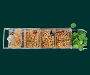 <span class=keywords><strong>ปลา</strong></span>กัดขนาดเล็กหลายกริดสำหรับตู้<span class=keywords><strong>ปลา</strong></span>การแยกการไหลเวียนการหมุนเวียนการแยกการเพาะ<span class=keywords><strong>เลี้ยง</strong></span><span class=keywords><strong>ปลา</strong></span>อะคริลิคตกแต่งภูมิทัศน์ - Product Image 6