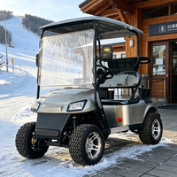 Voiturette de golf électrique 2 places avec cabine pour le marché nigérian et africain