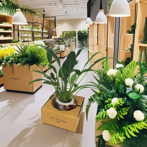 Tùy chỉnh bán lẻ hiển thị florist hộp sống thực vật hộp các tông in logo của bạn thân thiện với môi florist nhà máy Bao bì hộp - Product Image 4