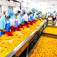 Machine de mise en conserve semi-automatique multifonctionnelle en acier inoxydable 304 pour pêches jaunes, tranches d'ananas, fraises et cerises