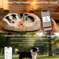 Collier de surveillance de la santé des animaux de compagnie OEM avec GPS, moniteur de fréquence cardiaque et respiratoire, étanche IP67, rechargeable, suivi des signes vitaux