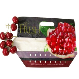 Sacs d'emballage en plastique recyclables Pochette debout transparente avec logo personnalisé, fruit raisin cerise avec fermeture éclair et poignée - Product Image 5