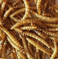 Friandise pour oiseaux : vers de farine séchés 100 % naturels, riches en protéines, pour perroquets, canaris et petits oiseaux – Santé de la peau et du plumage, toutes les générations