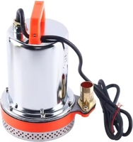 Pompe à eau électrique à engrenages submersibles basse tension 12V 24V 48V pour irrigation agricole et jardin pompe à batterie solaire OEM