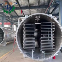 Automatische RVS PLC Gefreeze-droogmachine voor fruit, wortelen, bonen en uien voor voedselverwerkingsfabrieken - fabrieks prijs