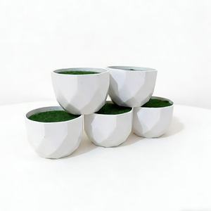 Pots à fleurs en plastique Paulon 6,5 cm, modèle Diamond Basin blanc, pour décorations de bureau, jardinières écologiques - Product Image 2