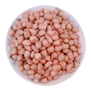 Guowan Agriculture Fresh Raw Peanuts Good Quality Full Grains To Meet The Retailer's Large Sales