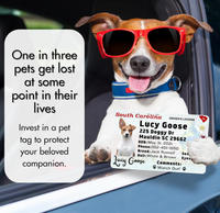 Plaque d'identification personnalisée pour chiens et chats - Étiquettes d'identification pour animaux de compagnie personnalisées, résistantes, avec nom, photo et numéro de téléphone (carte de poche)