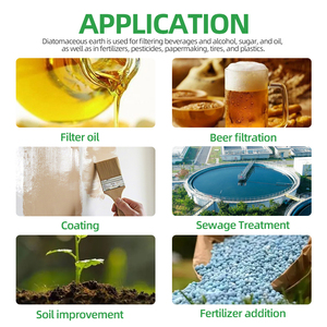 Chất lượng cao nung diatomaceous trái đất/Diatomite/kieselguhr bột công nghiệp Lọc Viện trợ/thực phẩm lọc Viện trợ - Product Image 5