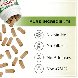 Hafıza ve Uyku İyileştirici <span class=keywords><strong>Reishi</strong></span> Ekstresi Kapsülleri - OEM Özel Etiket - Product Image 4