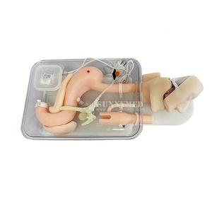 Instrumentos quirúrgicos Educación Simulación Modelo de entrenamiento de <span class=keywords><strong>colon</strong></span> suave Modelo patológico gastrointestinal <span class=keywords><strong>Colon</strong></span> de intestino grueso - Product Image 5