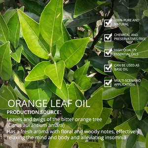 OEM Service Cosmetic Grade <b>Orange</b> Leaf Oil Manufacturers Wholesale Bulk Pure Natural Petitgrain Oil - Product Image 2