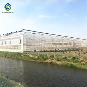 The cheapest sainpoly factory supply commercial float tempered agricultural greenhouse