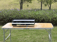 Offre promotionnelle : Four de cuisson et barbecue portable en acier chromé pour la pêche, le jardinage et les activités de plein air, avec réchaud à gaz propane pour le camping
