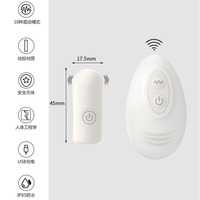Vibrateur électrique sans fil télécommandé pour femmes, 10 vitesses, étanche, rechargeable par USB, multi-modes, portable, personnel