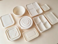Conteneur alimentaire compostable sans plastique pour restaurant, boîte à emporter jetable avec couvercle en vrac