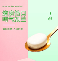 Bonbons à la menthe fraîche (saveur lait à la menthe, sachet de 308g)