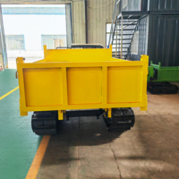 Livraison Gratuite – Mini-Dumper sur Chenilles 2, 3 et 4 Tonnes avec Moteur Diesel – Offre Spéciale