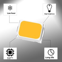 Perles LED SMD 2025 à lumière blanche 0,5W pour modules de flash mobiles et panneaux lumineux de tableau de bord automobile
