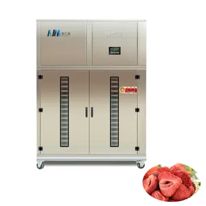 Rvs Lade Yam Maringa Automatische Laurel Leaf Stick Noodle Hot Air Pap Drogen Floss Vlees Larve Oven Lucht Droger machine