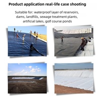 Bâche en PEHD pour bassin à poissons, bassin à crevettes, piscine, film noir pour chantier, film d'isolation et anti-infiltration noir